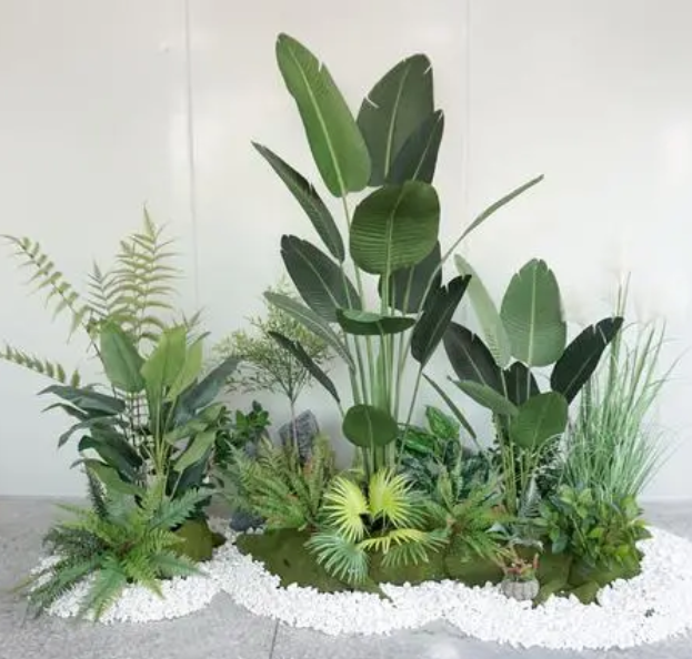 装饰植物